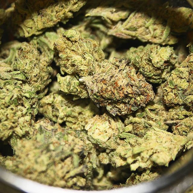 Cime di cannabis indica resinose e molto compatte